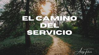 El Camino Del Servicio  1 Corintios 15:58 Biblia Reina Valera 1960