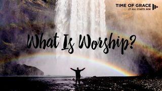 What Is Worship: Devotions From Time Of Grace 历代志上 16:11 新标点和合本, 神版