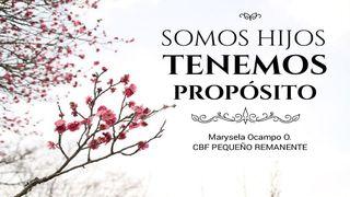 Somos Hijos Tenemos Propósito 聖馬太福音 4:19-20 包爾騰－柏漢理淺文理《新約聖經》