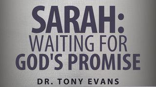 Sarah: Waiting for God’s Promise 2 Petrus 3:9 Het Boek