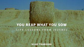 You Reap What You Sow သက္သာေလာနိတ္ဩဝါဒစာဒုတိယေစာင္ 1:6-7 ျမန္​မာ့​စံ​မီ​သမၼာ​က်မ္