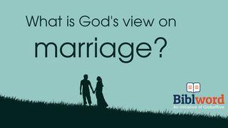 What Is God's View on Marriage? আদি 24:60 ইণ্ডিয়ান ৰিভাইচ ভাৰচন (IRV) আচামিচ - 2019