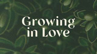 Growing in Love 2 Timothy 3:5-9 New International Version