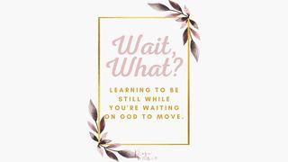 Wait, What? Learning to Be Still, While You’re Waiting on God to Move யோபுடைய சரித்திரம் 13:16 பரிசுத்த பைபிள்