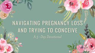 Navigating Pregnancy Loss & Trying to Conceive: A 5-Day Plan Psalmen 126:5 Het Boek