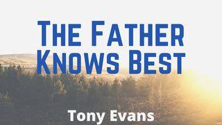 The Father Knows Best Spreuken 19:21 Het Boek