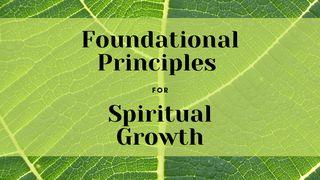 Foundational Principles for Spiritual Growth Mateo 15:18-19 Zapotec, Amatlán