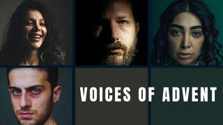 Voices of Advent: 4 Famous Encounters With Jesus Luke 5:17-20 New International Version