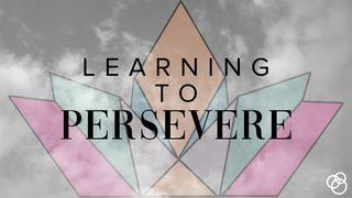 Learning to Persevere  Matthew 14:30-31 King James Version