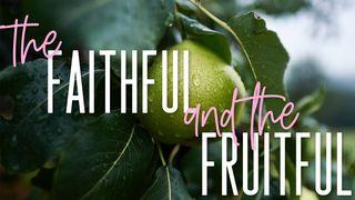 The Faithful and The Fruitful Genesis 41:16 Contemporary English Version (Anglicised) 2012