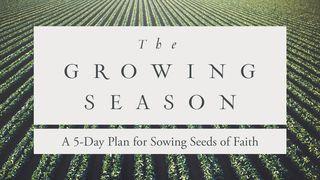 The Growing Season Psalms 96:10 New International Version