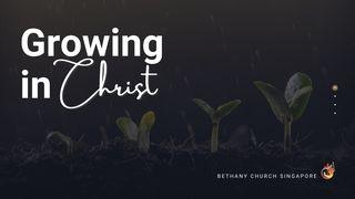 Growing in Christ  Philippians 2:1-7 New International Version