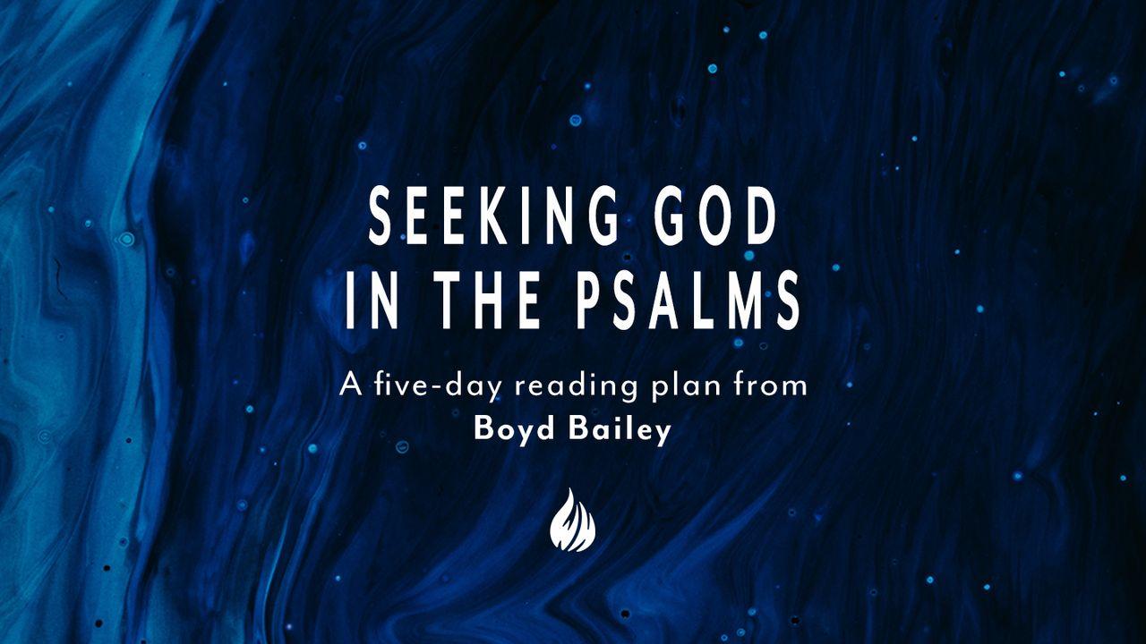 Seeking God in the Psalms