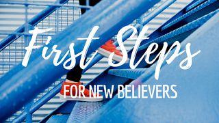 First Steps For New Believers Salmos 29:2 Almeida Revista e Corrigida