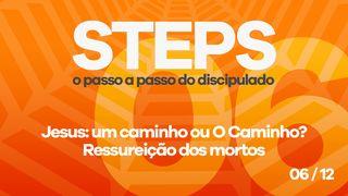 Série Steps - Passo 06 Filipenses 3:8 Bíblia Sagrada, Nova Versão Transformadora