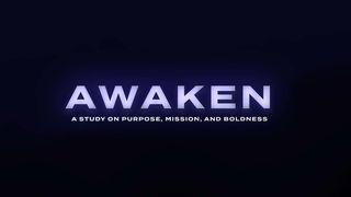 Awaken: A Study on Purpose, Mission, and Boldness Jesaja 28:16 Het Boek