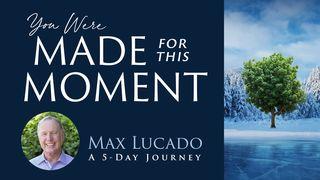 You Were Made for This Moment: A 5-Day Journey Przypowieści Salomona 21:13 Nowa Biblia Gdańska