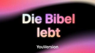 Die Bibel lebt Johannes 1:5 Lutherbibel 1912