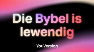 Die Bybel is lewendig JOHANNES 14:6 Afrikaans 1983