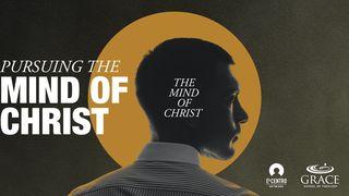 Pursuing the Mind of Christ  Philippians 3:10-11 English Standard Version 2016