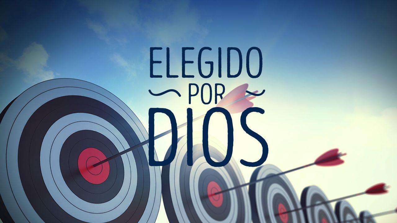 Elegido por Dios