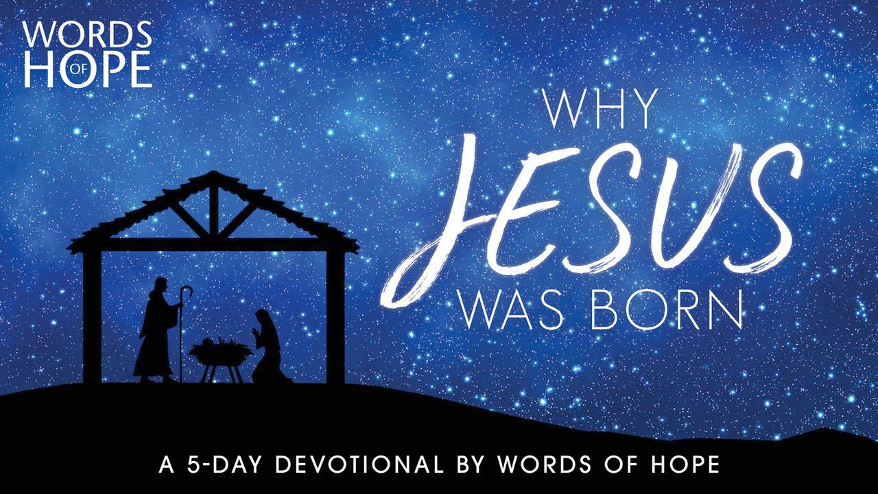 Why Jesus Was Born