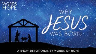 Why Jesus Was Born I Timothy 1:17 New King James Version