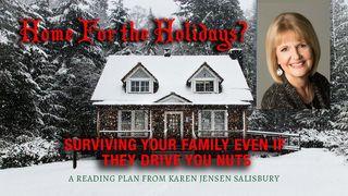 Home for the Holidays? Surviving Your Family Even if They Drive You Nuts Romanos 14:19 Bíblia Sagrada, Nova Versão Transformadora