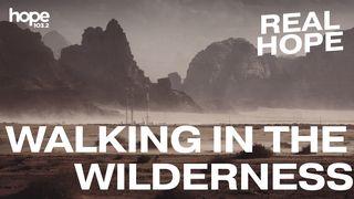 Walking in the Wilderness Hosea 2:14-15 New Living Translation