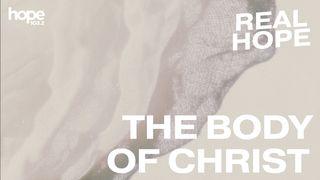 The Body of Christ Numeri 14:10-11 Het Boek