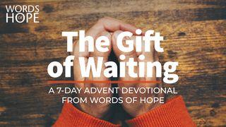 The Gift of Waiting 1 Thessalonians 3:7-10 New International Version