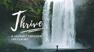 Thrive: A Journey Through the Psalms Psalmen 112:5 Het Boek