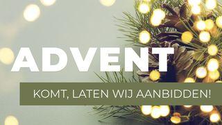 Advent - Komt, Laten Wij Aanbidden! San Mateo 2:11 Páez