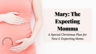 Mary: The Expecting Momma LUK 1:45 Wagi