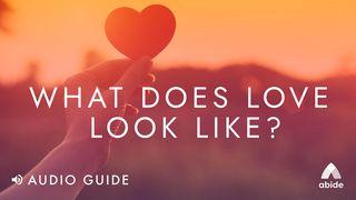 What Does Love Look Like? James 2:14 New Living Translation