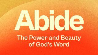 Abide: Every Nation Prayer & Fasting 耶利米书 23:28-29 当代译本