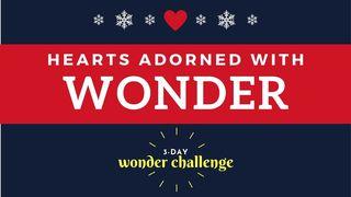 Hearts Adorned With Wonder Matthew 2:1-2 Amplified Bible