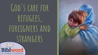 God’s Care For Refugees, Foreigners and Strangers උත්පත්ති 19:29 Sinhala New Revised Version 2018