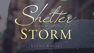 Shelter From The Storm Psalmen 66:16 Het Boek