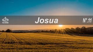 Durch die Bibel lesen - Josua 1. Petrus 1:4-7 Hoffnung für alle