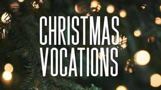 Christmas Vocations Luke 1:77 Amplified Bible