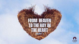 [From Heaven to the Hay in the Heart] Part 1 Matthew 2:12-13 Lau New Testament