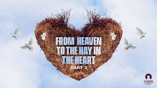 [From Heaven to the Hay in the Heart] Part 3 Luk 2:8-9 Abanyom LP New Testament Portions