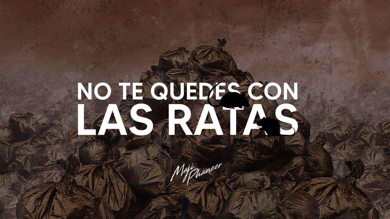 No Te Quedes Con Las Ratas