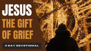 Jesus the Gift of Grief: Overcoming the Holiday Blues ေဟ႐ွာယအနာဂတၱိက်မ္း 61:6 ျမန္​မာ့​စံ​မီ​သမၼာ​က်မ္