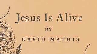 Jesus Is Alive by David Mathis Openbaring 7:15-16 Herziene Statenvertaling