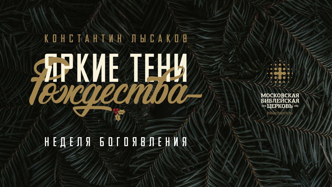 Яркие тени Рождества. Часть 6: Новый год