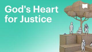 BibleProject | God's Heart for Justice 马太福音 4:23-25 新标点和合本, 神版