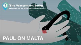 Watermark Gospel | Paul on Malta တမန္ေတာ္ဝတၳဳ 28:5 ျမန္​မာ့​စံ​မီ​သမၼာ​က်မ္