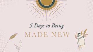 5 Days to Being Made New San Mateo 18:5 Diósïri Karakata P´urheepecha Jimbo